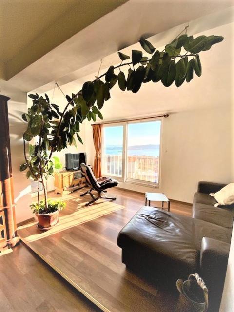 Amarante Apartments Kastela Luaran gambar